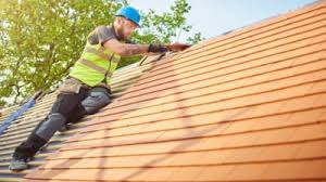 Roof Moss and Algae Removal in Hilbert, WI