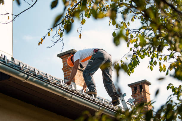 Best Emergency Roof Repair Services  in Hilbert, WI